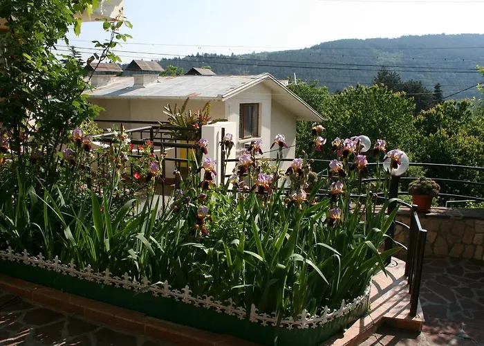 Pensjonat Tora Bora 3*